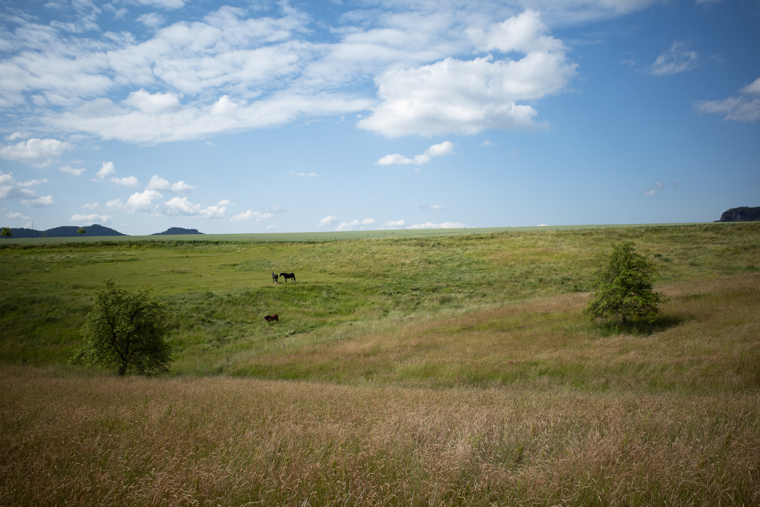 Brücke über die Elbe – Abschied vom Flusstal